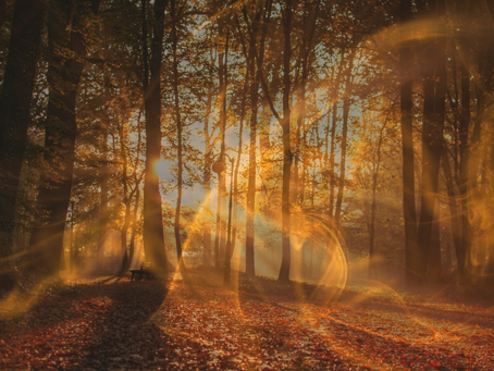 Écouter son corps avec le yoga à Chambéry