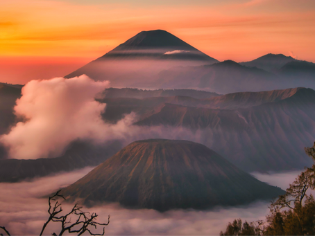 La pratique est l’enseignant