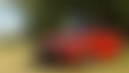 TEST ŠKODA OCTAVIA 2.0 TDI EVO: POKROK NEZASTAVÍŠ