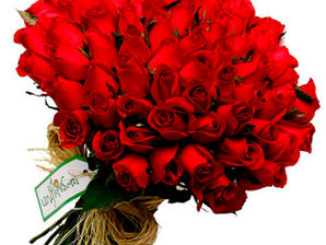 Flores no ônibus