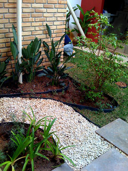 Vista do quintal DEPOIS da reforma