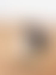 Entrevista a Laura Donoso Directora de 'Sariri': "Nos interesaba trabajar esa violencia que se cuela por debajo, impregnada en lo cotidiano."