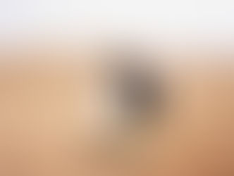 Entrevista a Laura Donoso Directora de 'Sariri': "Nos interesaba trabajar esa violencia que se cuela por debajo, impregnada en lo cotidiano."