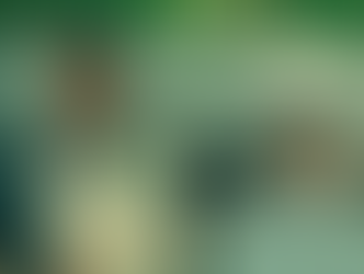 "El Esquema Fenicio": El regreso más Wes Anderson de Wes Anderson