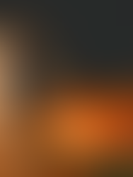 'Una Batalla Tras Otra': La revolución es colectiva o no será