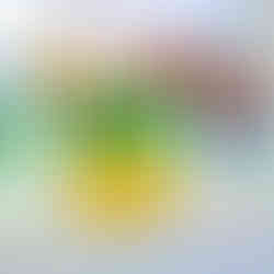 Ervaar een Sound Journey met kristallen klankschalen, Alchemy Crystal Bowls