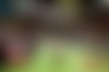 Agen S128 Online Sabung Ayam Terbaik Indonesia