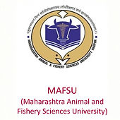 MAFSU logo_edited.jpg
