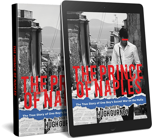 The Prince of Naples Book