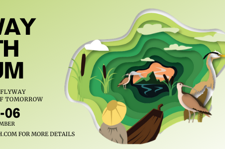 FLYWAY YOUTH FORUM 2020