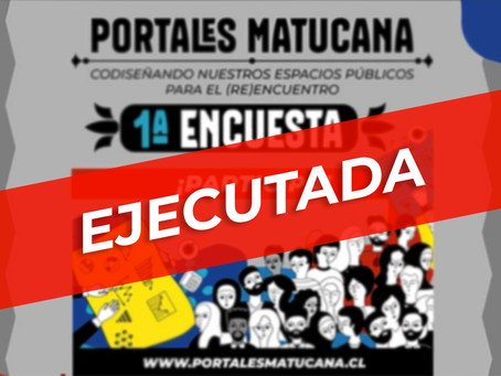 Encuesta de Diagnóstico del Polígono Portales Matucana