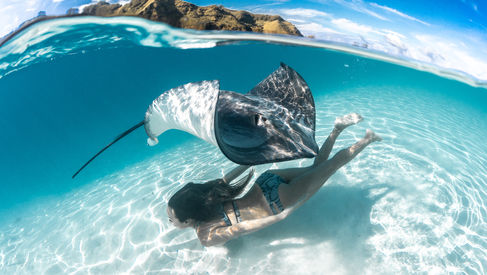 Alysha Moorea underwater-14.jpg