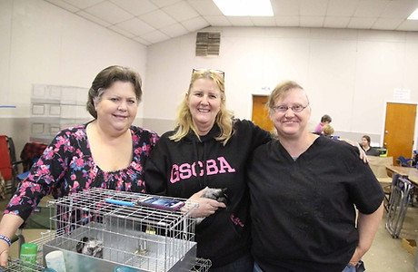 Cavy Exhibitors.jpg