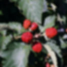 DSC09497 - Kopie_edited.jpg