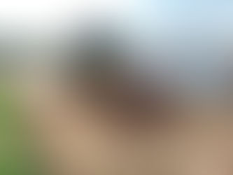 Prefeitura de Tarauacá Avança com Obras de Melhorias no Bairro Ipepaconha