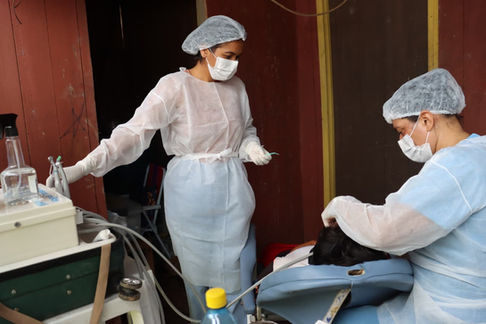 Programa Prefeitura na Comunidade registra mais de 2.600 atendimentos nos três primeiros dias de mobilização no Rio Muru