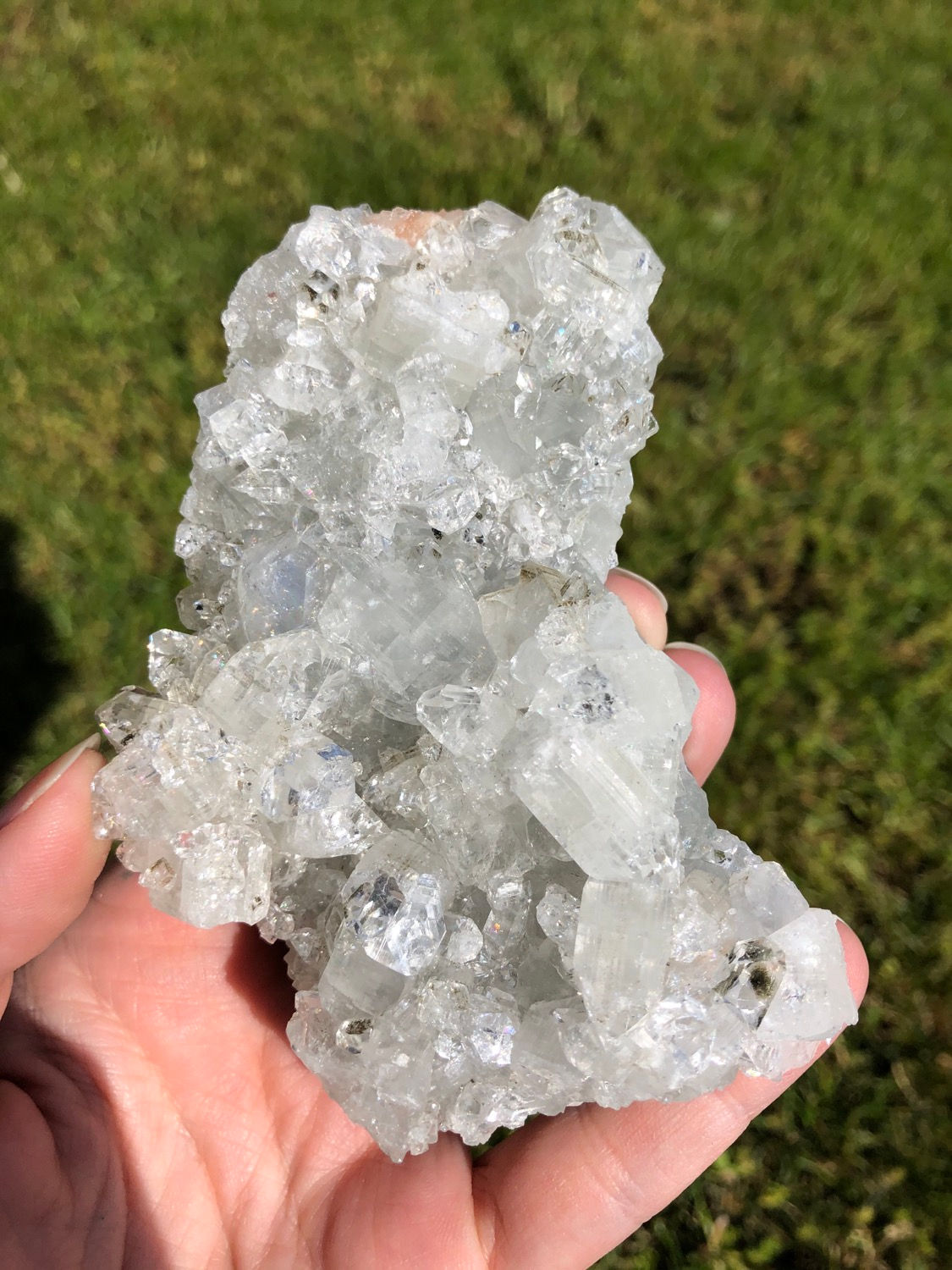 Apophyllite Cluster
