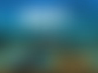 Bancada Paranaense participa de reunião de planejamento com DNIT