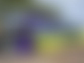 Com ônibus elétrico na rua, Curitiba avalia novas tecnologias em eletromobilidade