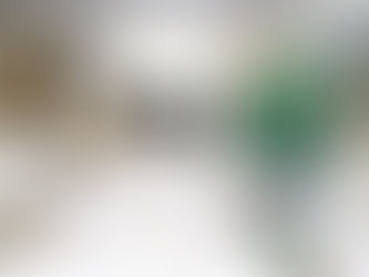 Prefeitura inicia entrega dos carnês do IPTU 2025
