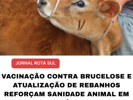 Vacinação contra Brucelose e atualização de rebanhos reforçam sanidade animal em Piên