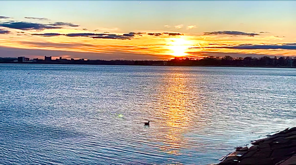 5. DreamEcho Carousel Landing.jpg