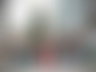 Calçadão da Rua XV de Novembro ganha árvore "viva", com sálvias e 11 metros de altura