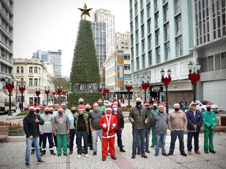 Calçadão da Rua XV de Novembro ganha árvore "viva", com sálvias e 11 metros de altura