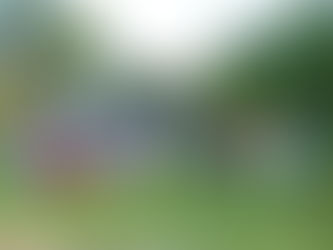 Prefeito e secretários se reúnem com moradores do Aterrado Alto