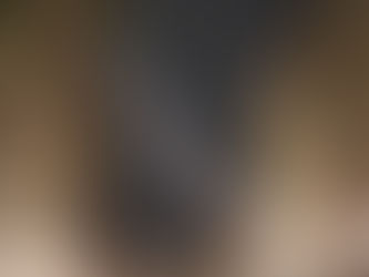 Clima de Natal se instala na cidade com início da montagem de árvores