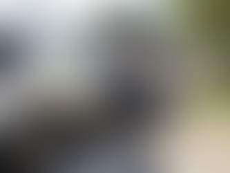 Mutirão contra a dengue em Curitiba recolhe entulhos no Cajuru e volta ao Tatuquara