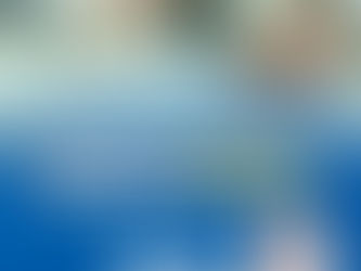 Deputado Toninho Wandscheer vota favorável à MP 1.05/2021