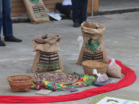 Sementes Crioulas são distribuídas em projeto emergencial, devido à pandemia