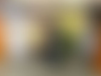 Deputado Toninho Wandscheer assina carta pró-vida