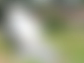 Prefeitura de Piên Abre Cadastro para Programa de Calcário 2025