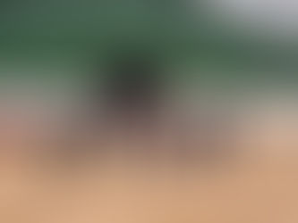 *Cereais Penso investem no Parque Industrial de Quitandinha*