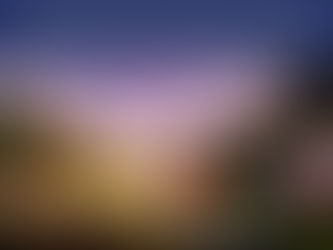 Parque Mágico do Natal da Disney começa a ser montado em Curitiba