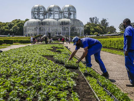 Paisagismo da cidade começa a se transformar para o Natal