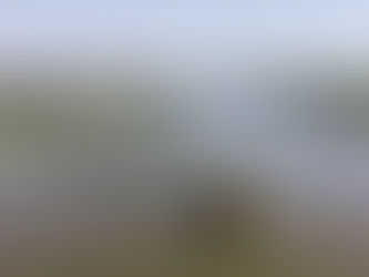 Verão Curitiba 2019 começa nesta sexta pelo Parque Náutico. Veja as atrações