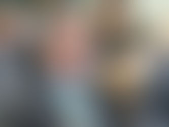 Wandscheer fará parte das comissões do Desenvolvimento Urbano e da Agricultura na Câmara