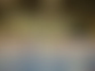 Lote com 235,5 mil vacinas contra a Covid-19 chega ao Paraná nesta quinta-feira