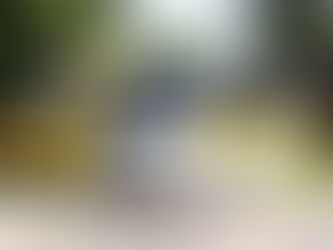 Prefeitura de Piên fará leilão de bens