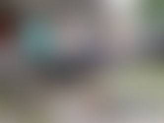 Prefeitura de Curitiba oferta mais de 4,2 mil vagas para castração gratuita de cães e gatos nas próximas semanas