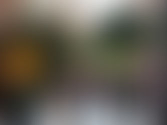 11,8 milhões de pessoas: IBGE aponta Paraná com a 5ª maior população do Brasil em 2024