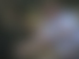 Bolsonaro aprovou a 'Declaração à Nação' escrita por Temer na manhã seguinte aos atos do dia 7