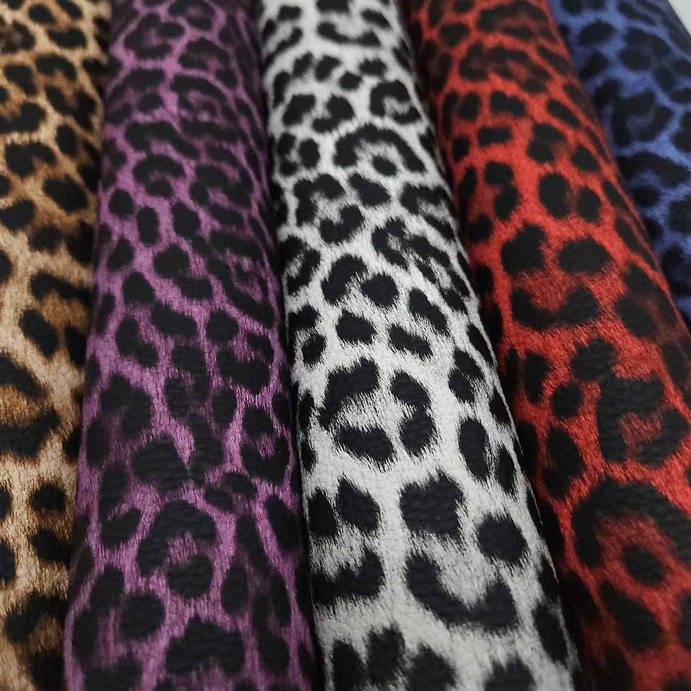 Thumbnail: Cheetah Collection