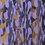 Thumbnail: Wild Animal Collection