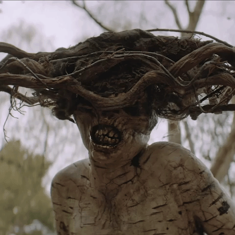 The Birch - Crypt TV