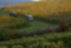 PA140438_edited.jpg