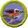 FLY+FISHING.gif